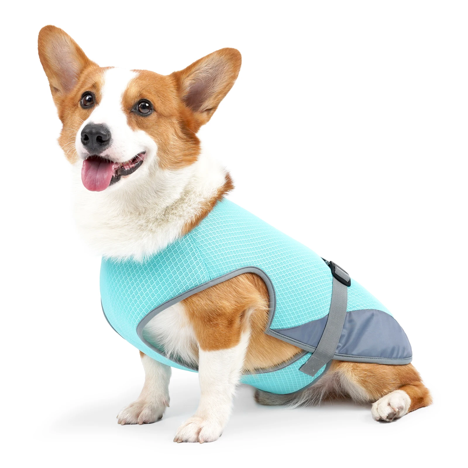 ArcticPup dog cooling vest worn by a corgi, studio shot